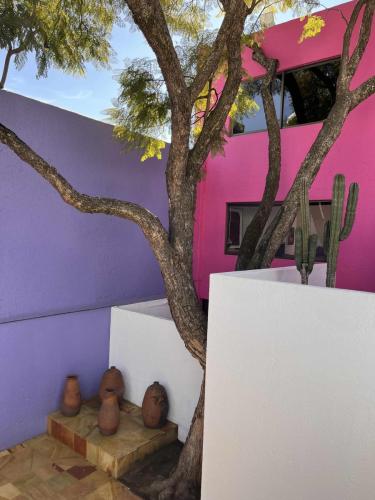 cour-coral-casa-gilardi-luis-barragan-mexico-city-1975-cdmx-modernismo-modernisme-brutalisme-rose-pink-architecture