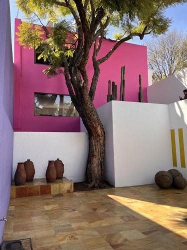 cour-coral-casa-gilardi-luis-barragan-mexico-city-1975-cdmx-modernismo-modernisme-brutalisme-rose-pink-architecture