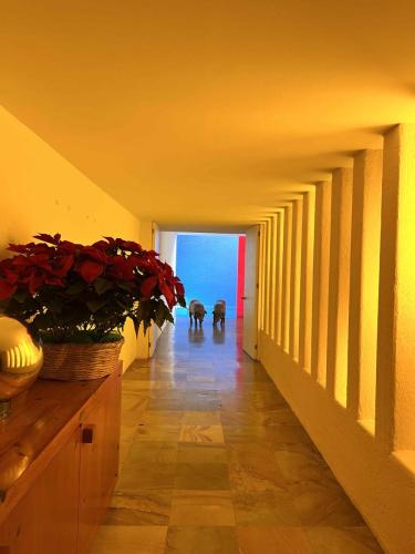 casa-gilardi-luis-barragan-mexico-city-1975-cdmx-modernismo-modernisme-brutalisme-rose-pink-architecture-couloir